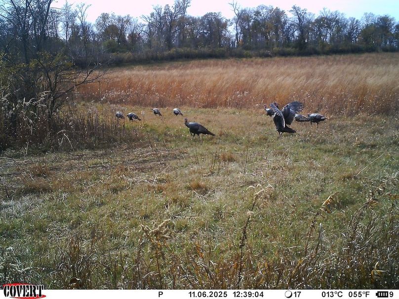 IMAG6673