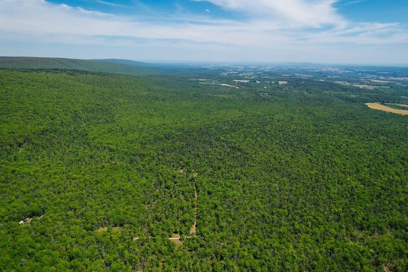 dji_fly_20250512_130000_971_1747069868720_photo