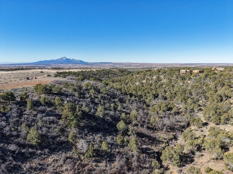 DJI_20260303094054_0043_D