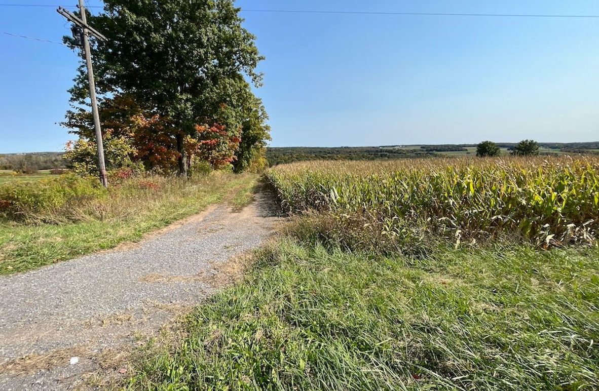 Yates_29_Stape Photo 2