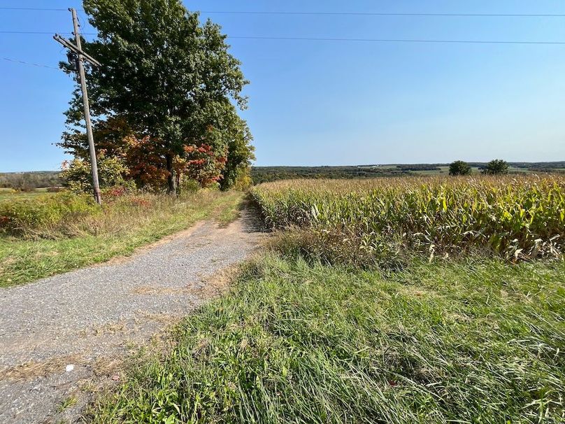 Yates_29_Stape Photo 2