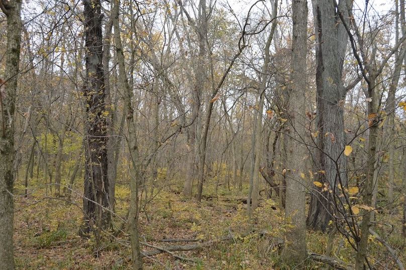 view looking west from SE corner