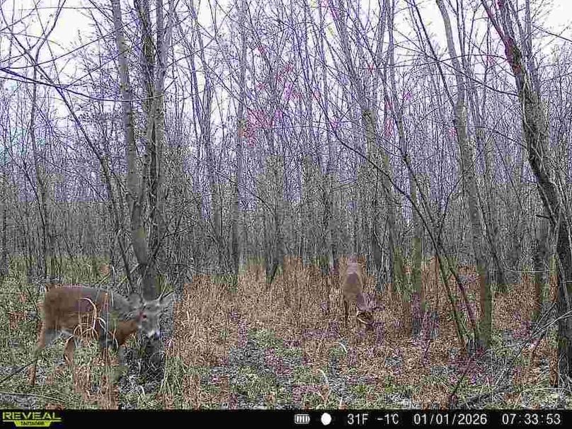 860516068100795-90-2-01012026073352-V-W1000249