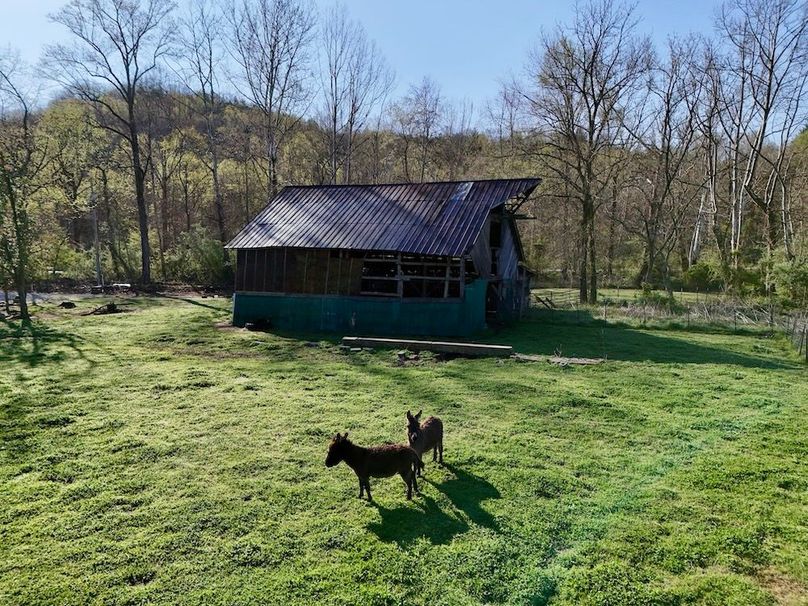 Scott Co TN 286 Keeton_010