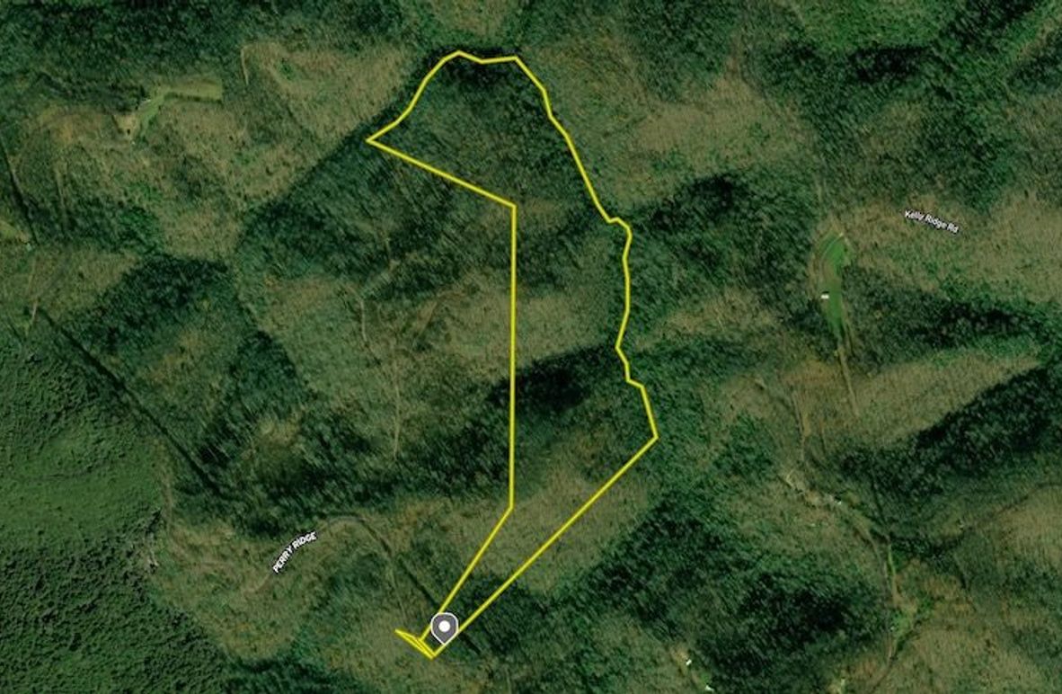 Screenshot 2025-06-18 at 11.23.56 AM