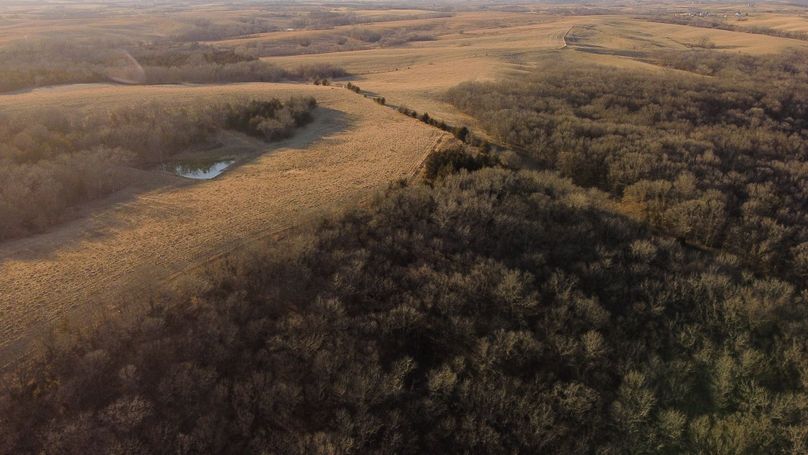 WORTH CO MO 537.44_96