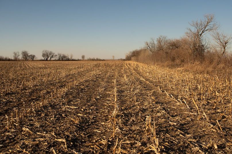 FREMONT CO. IA 31.48 +_-_9