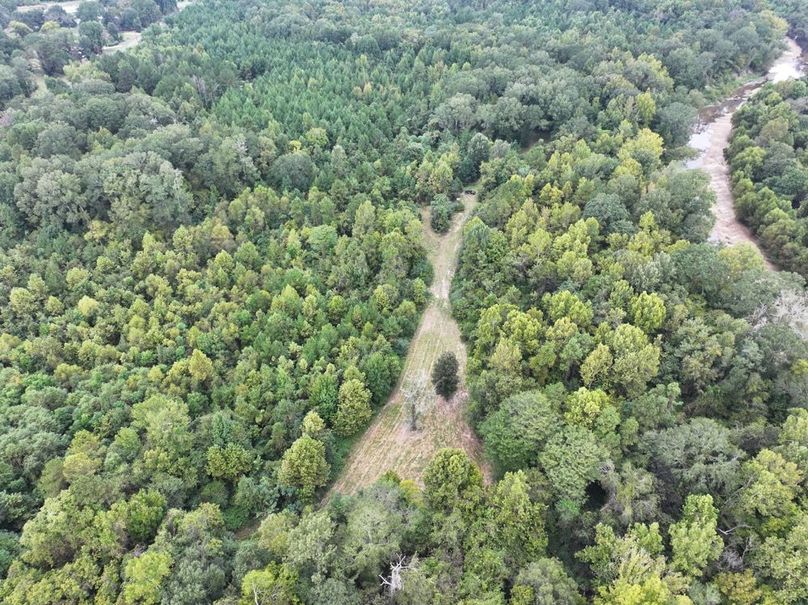 dji_fly_20250924_101328_0552_1758726279283_photo