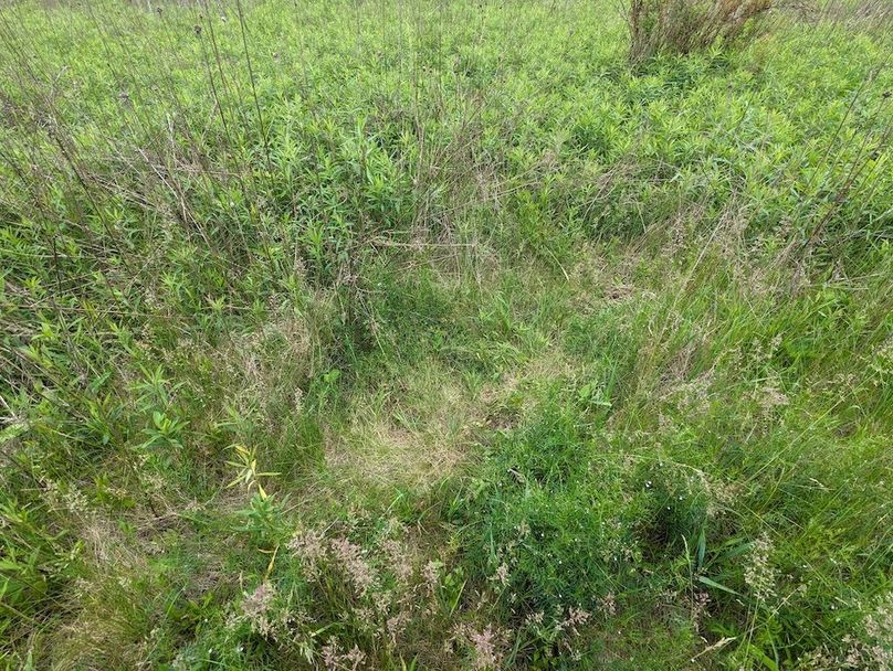 PXL_20240515_154721451