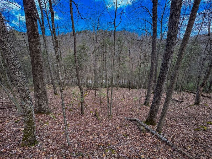 Wirt, WV 62.5 AC Full-12