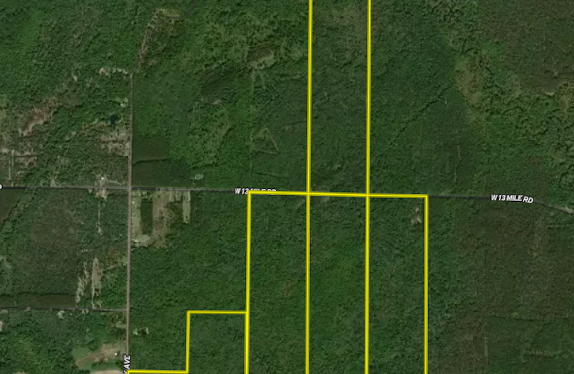 Screen Shot 2025-07-29 at 4.24.31 PM