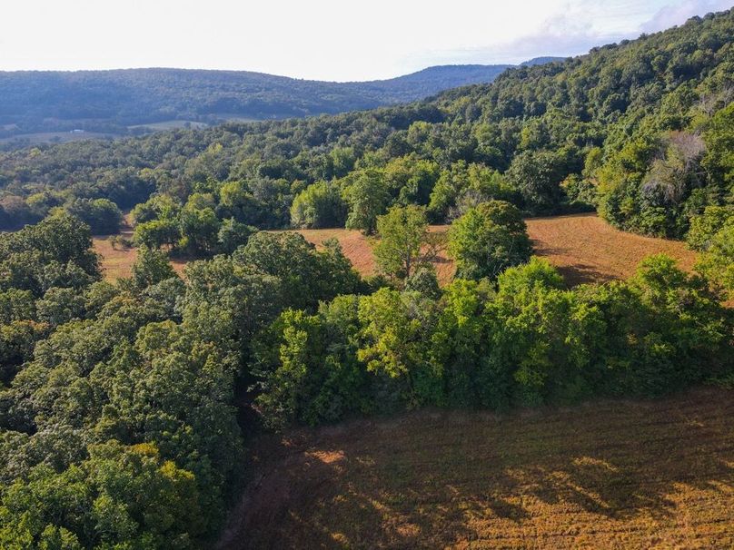 dji_fly_20250826_083400_676_1756215252507_photo