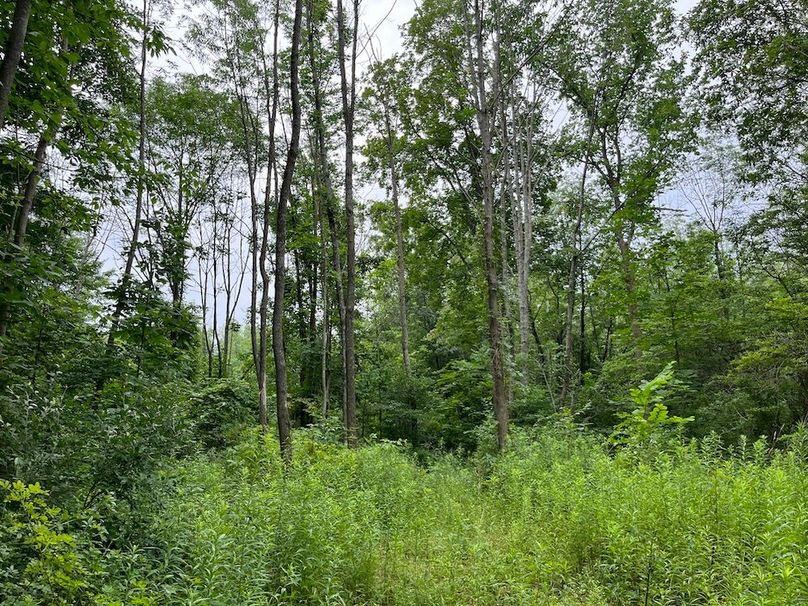 Yates_15_Beach Photo 21