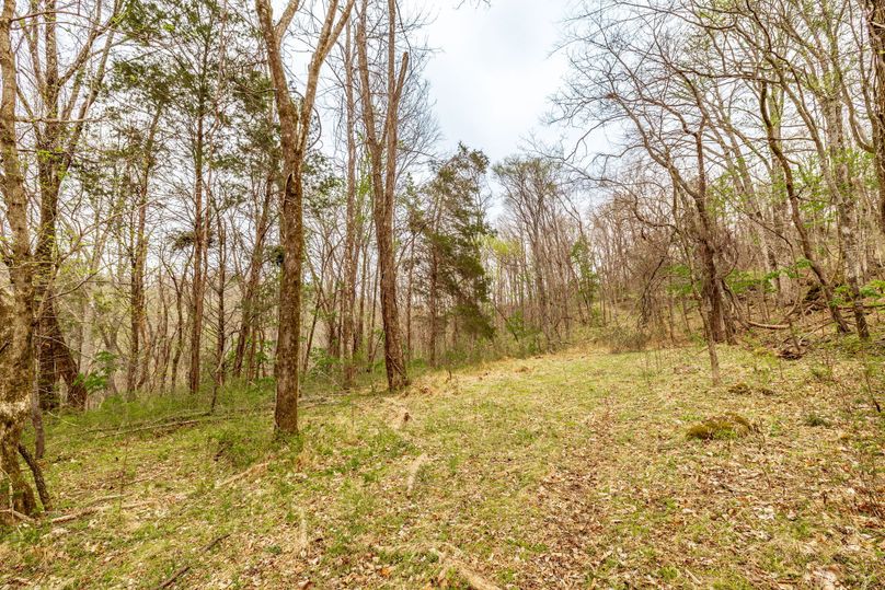 34-web-or-mls-Wolf Hill-12