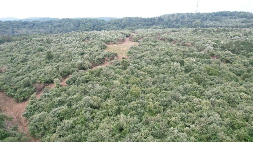 dji_fly_20250806_125218_546_1754499870023_photo