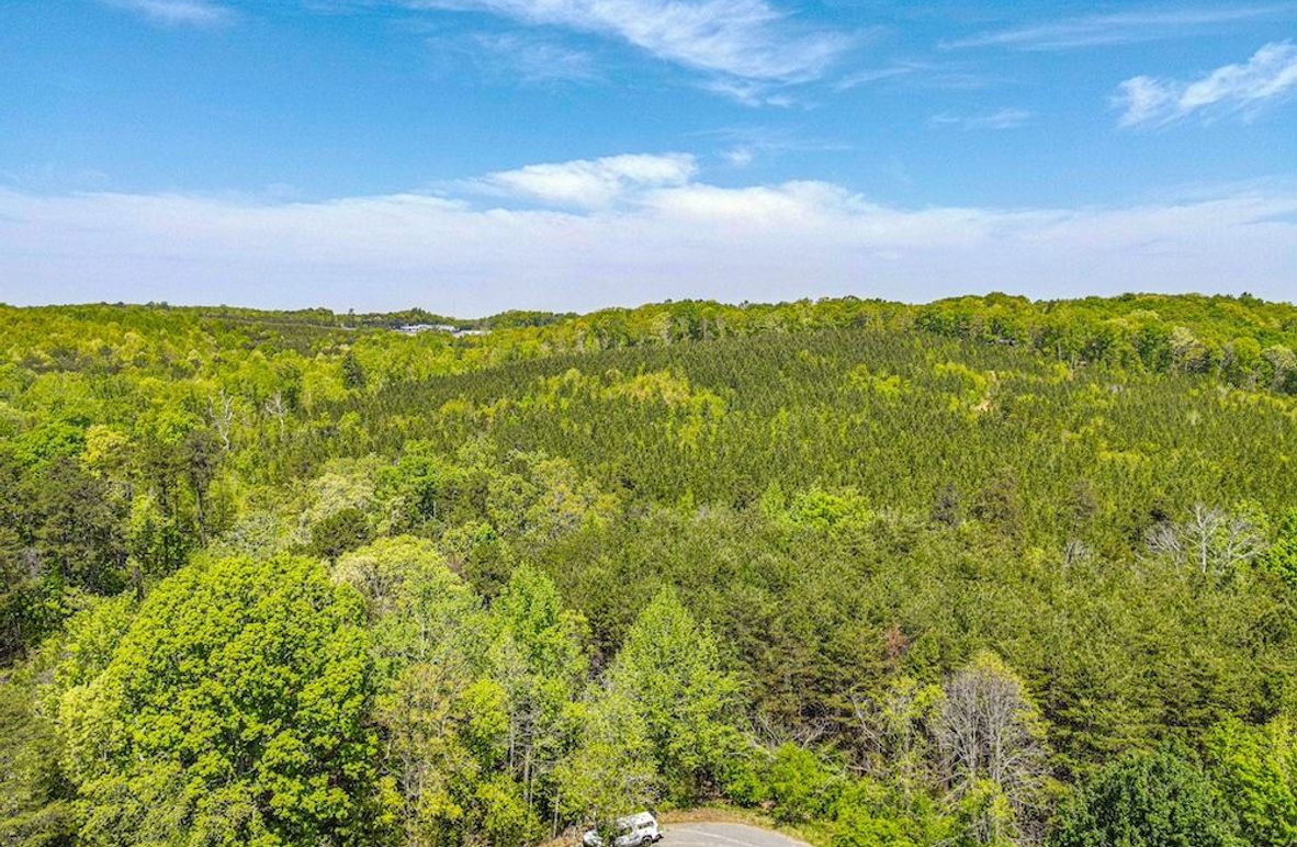 dji_fly_20250414_124652_343_1744649244081_photo