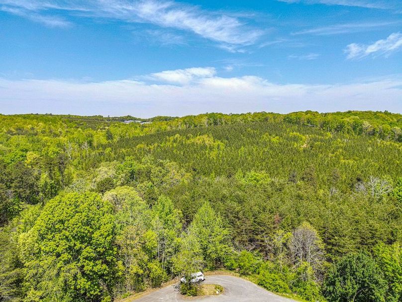 dji_fly_20250414_124652_343_1744649244081_photo