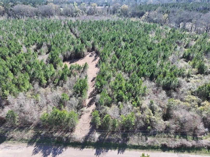 dji_fly_20260302_130730_0348_1772559698022_photo