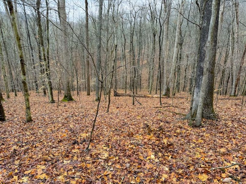 Ritchie, WV 64 AC Hall New Pics-22