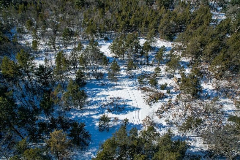 Adams 25, Nessler -10