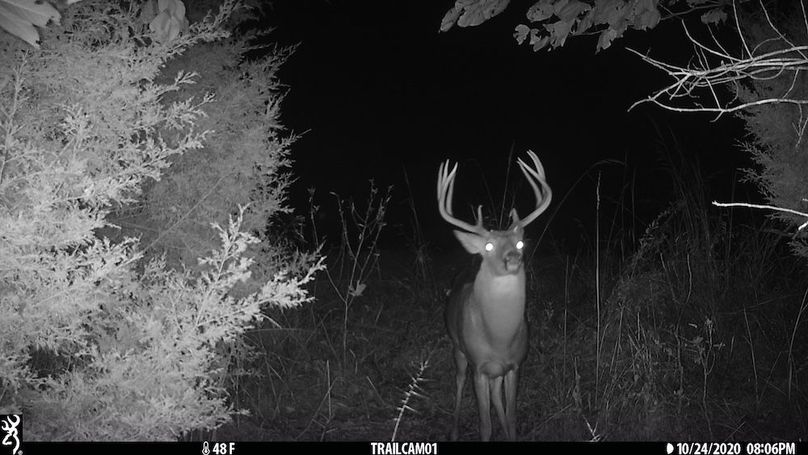 trail cam1