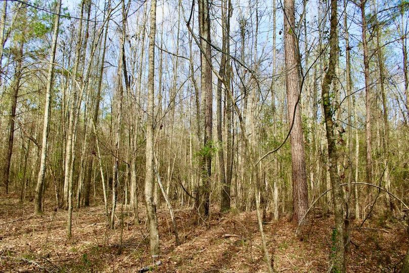 F95ABD00-0138-44EC-B11A-DD6743EFE013_1_201_a