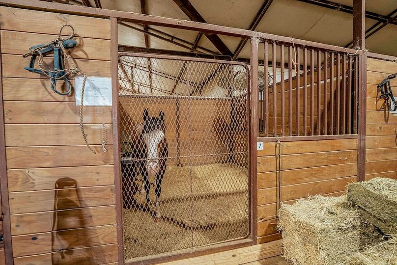 Grayson County- Petska Ranch Final (21 of 64)