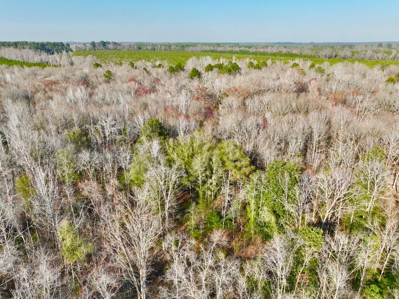 dji_fly_20250225_160910_455_1740517920843_photo