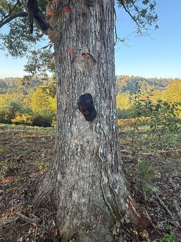 010 Some Mature hardwoods and natural cover provide excellent wildlife habitat and recreational value