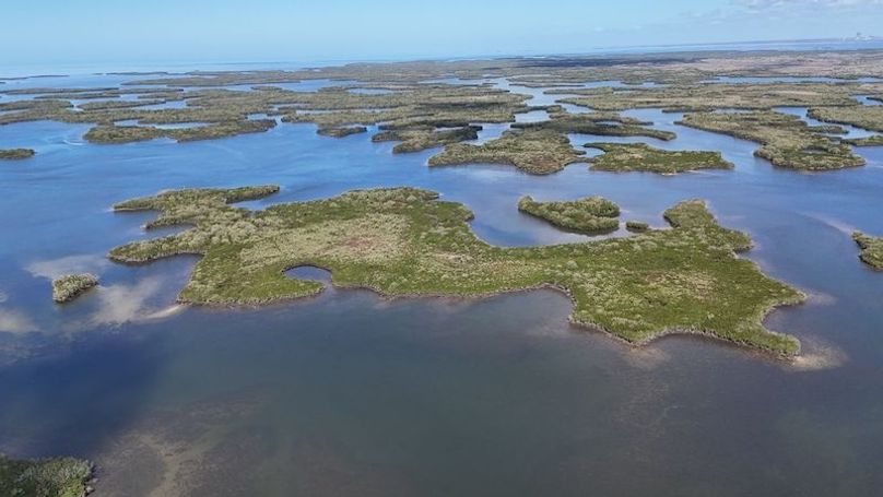 17.17ac, Citrus, Josiah Ronco28