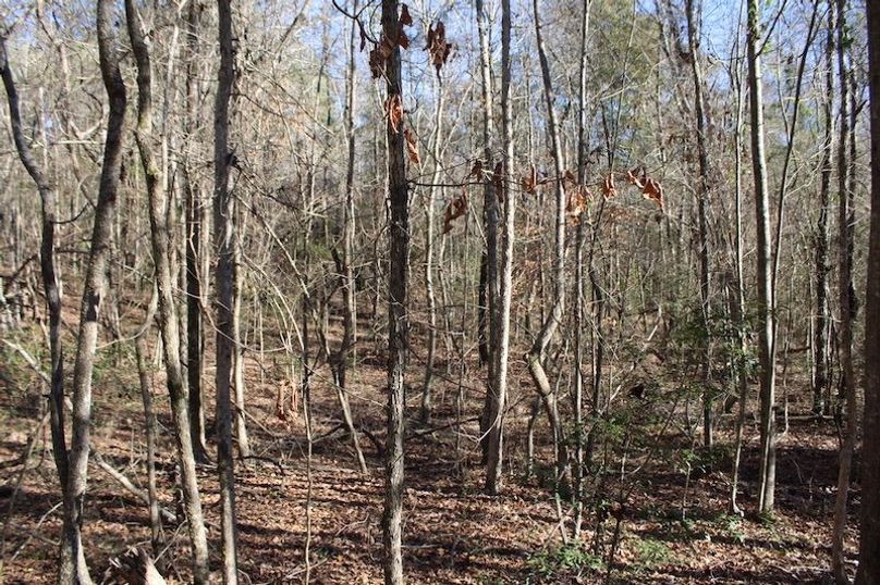 E6704452-3640-4C7C-B59C-82EE44E4156C_1_105_c