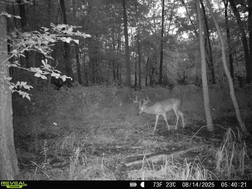 860516068101389-90-3-08142025054020-V-W1000217