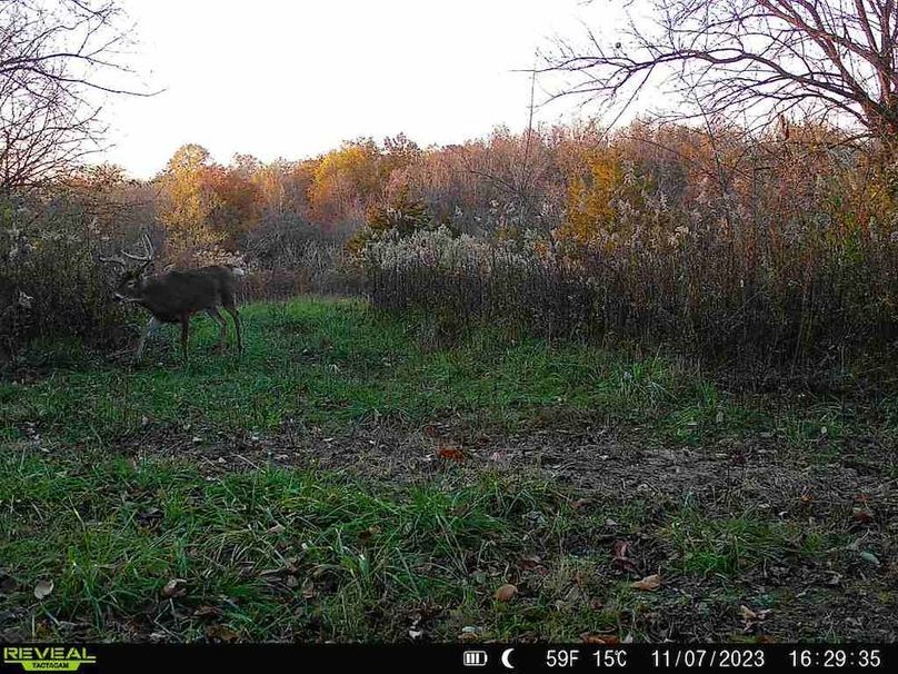 860322065128164-30-4-11072023162934-V-W1005337