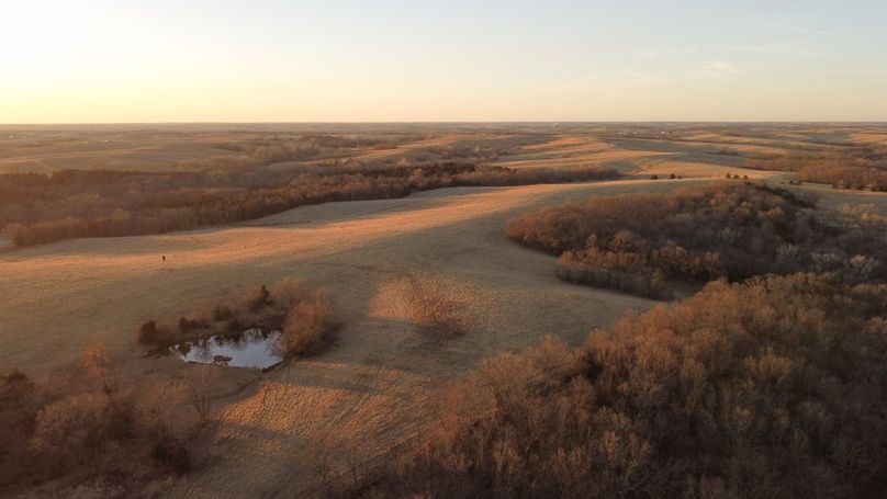 WORTH CO MO 537.44_16