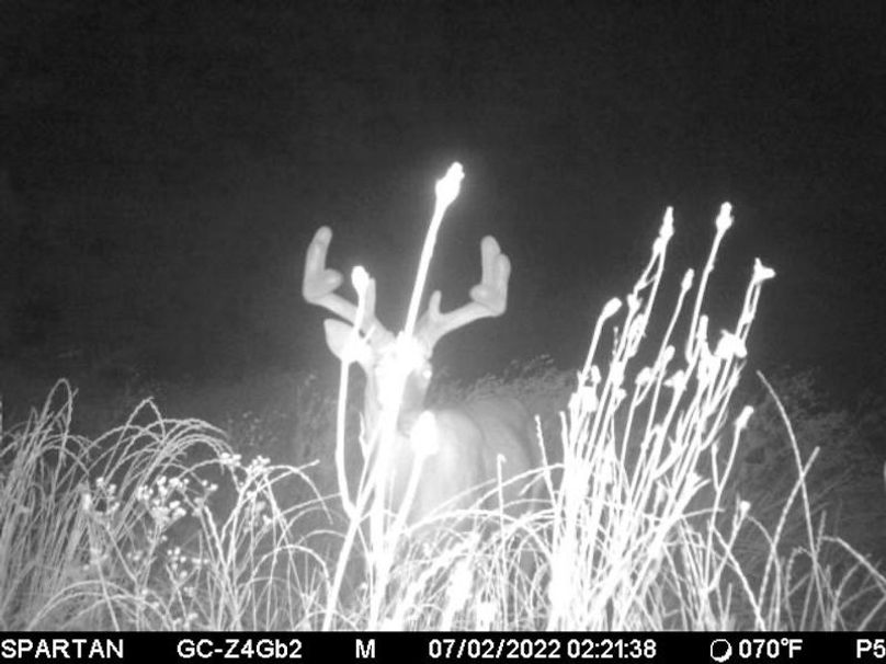 trail cam8