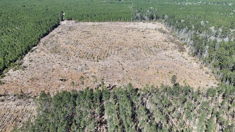 DJI_20260224035828_0399_D