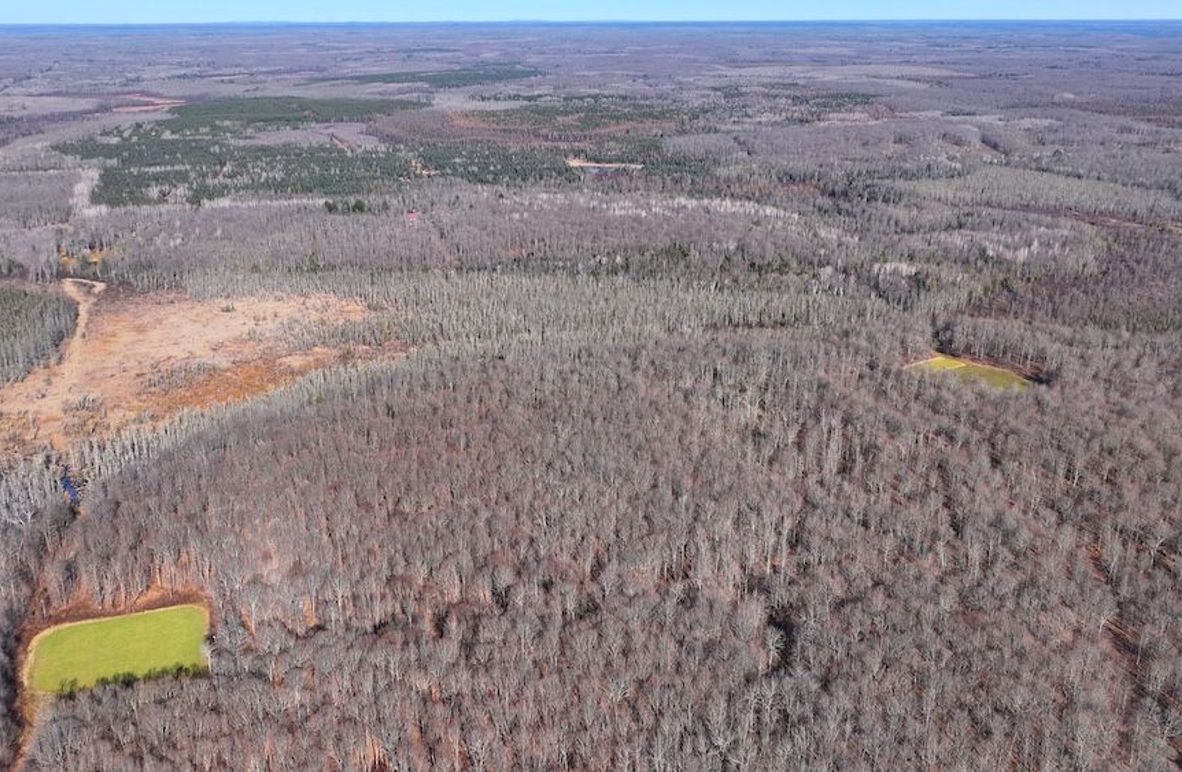 11DJI_20251113120608_0019_D