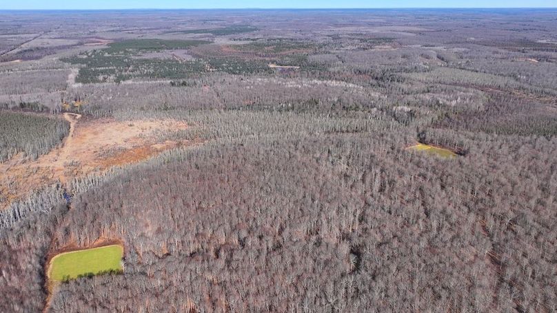 11DJI_20251113120608_0019_D