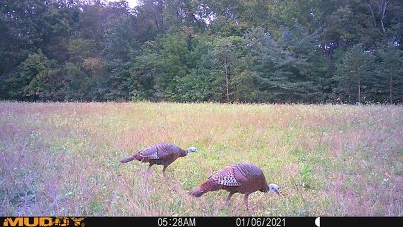 trailcam9