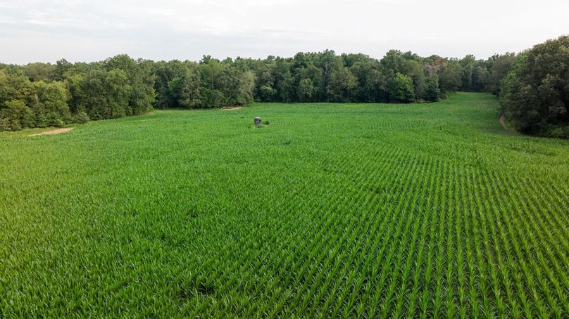 Copy of DJI_20250807062843_0007_D Large