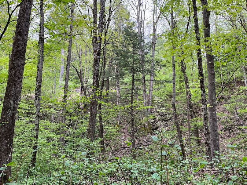 Tioga_78_Biada_Photos_102