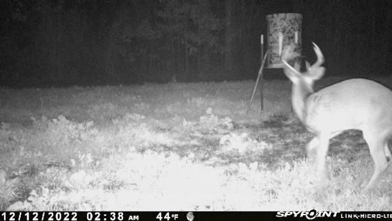 Ashley Co-40-Givens-39