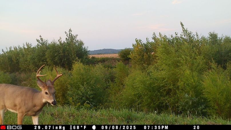 TRAIL CAM 8