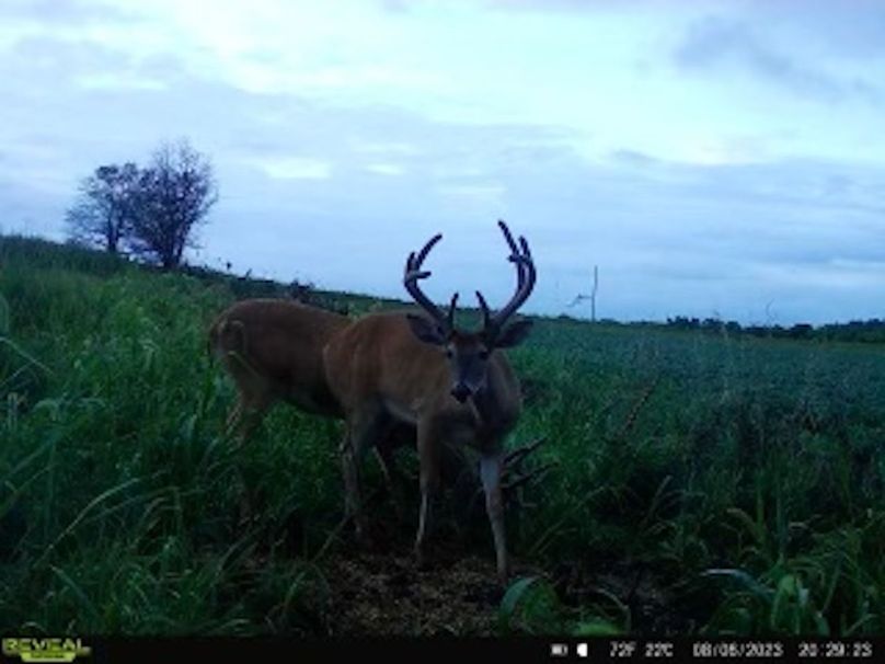 AA0AE0FA-19DC-4595-A061-4AD3FD88ED0F_4_5005_c