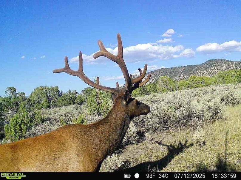 860516060244377-100-2-07122025183358-V-W1001512