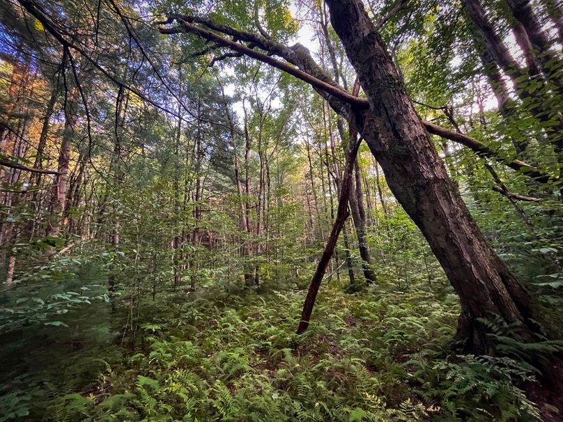 Oswego_30_RouselandInvestments_LLC_Photos_2