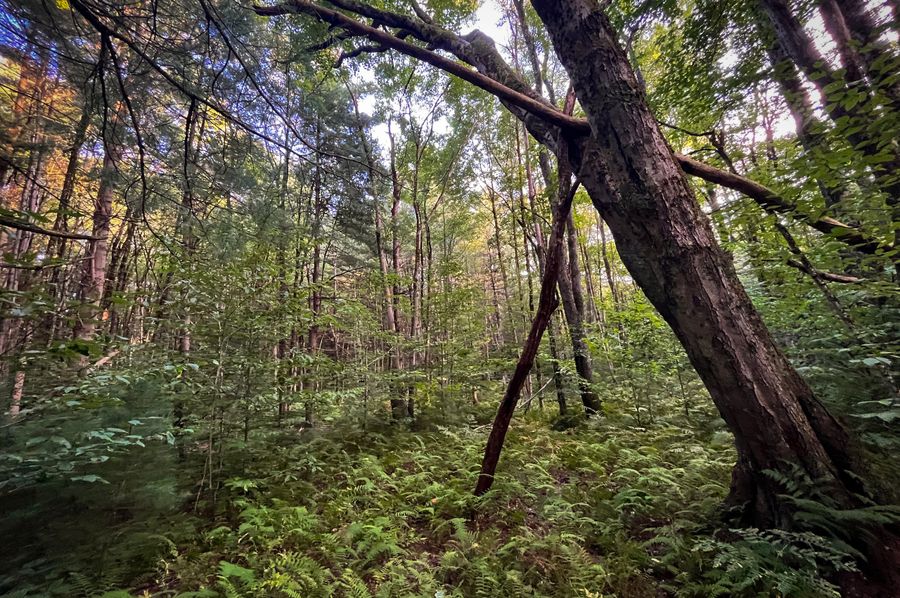 Oswego_30_RouselandInvestments_LLC_Photos_2