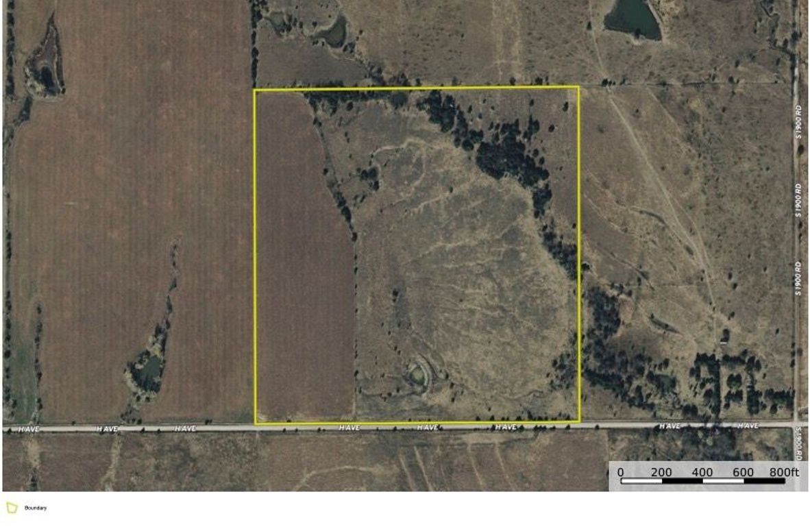 Morris 59 aerial copy