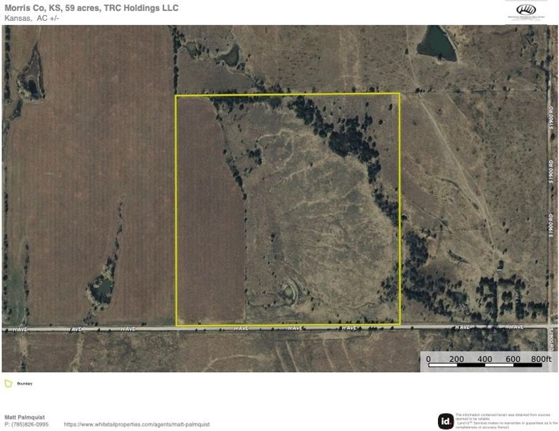 Morris 59 aerial copy