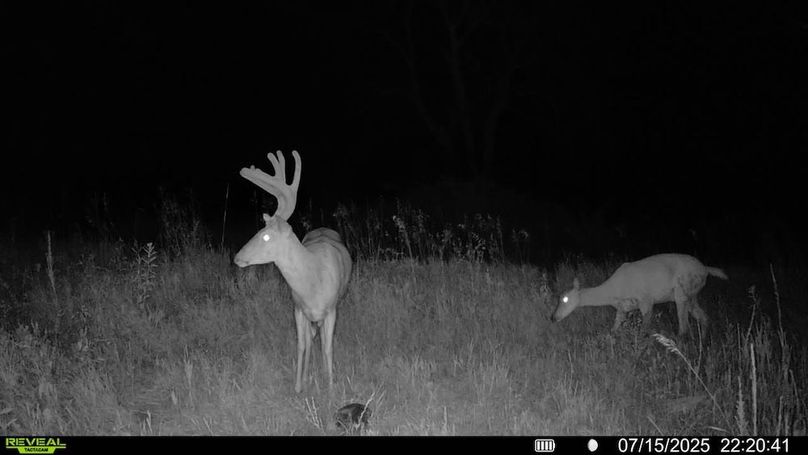 016578001892675-95-3-07152025222041-SYFW01824